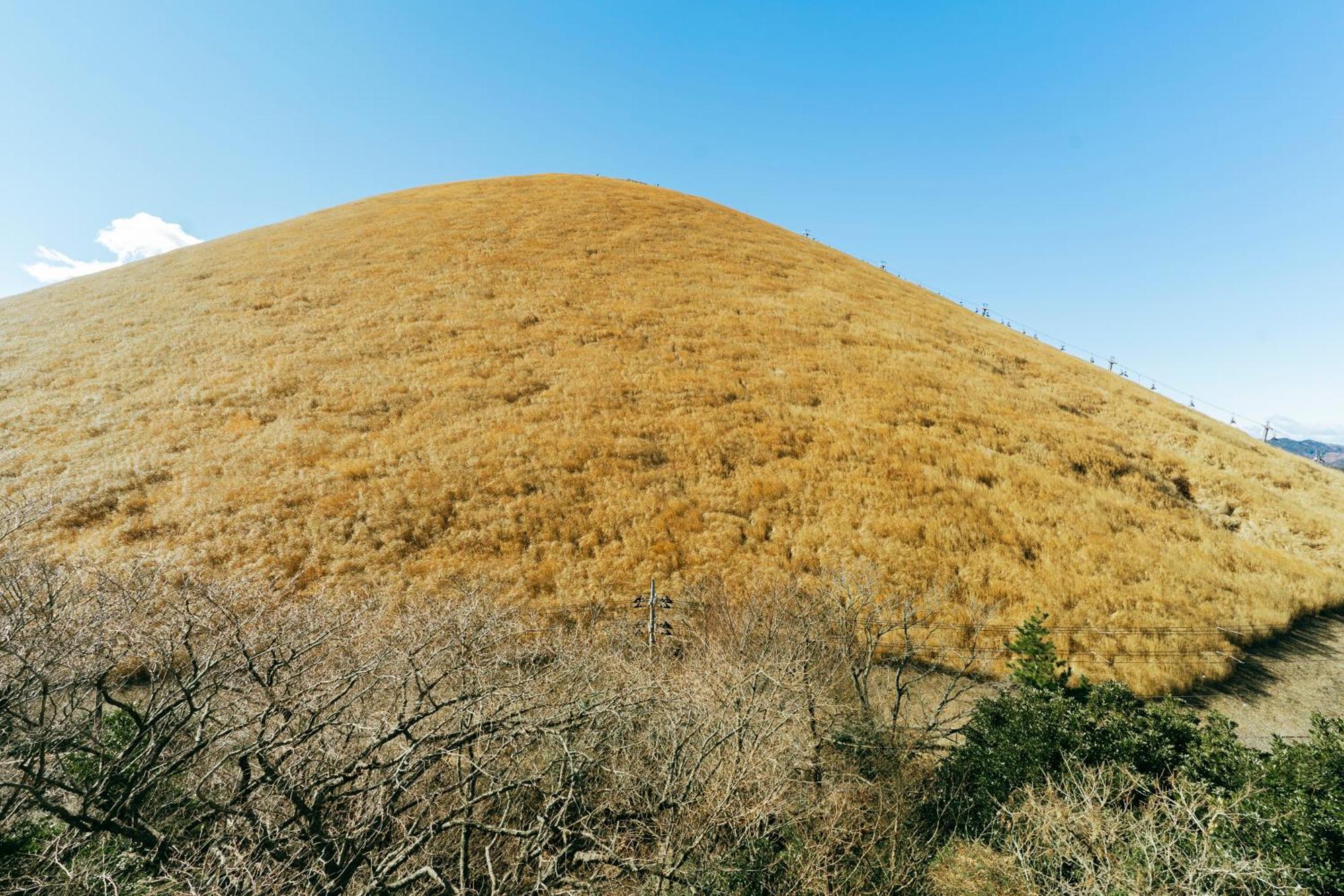 スマートステイ大室山2合目 Villa Futo Exterior photo